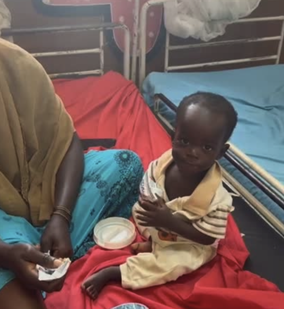 Sudan Impact